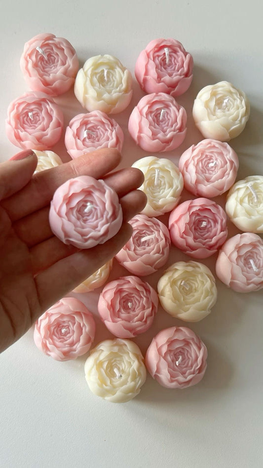 Peony buds